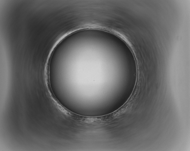 X0000116881056200912221422