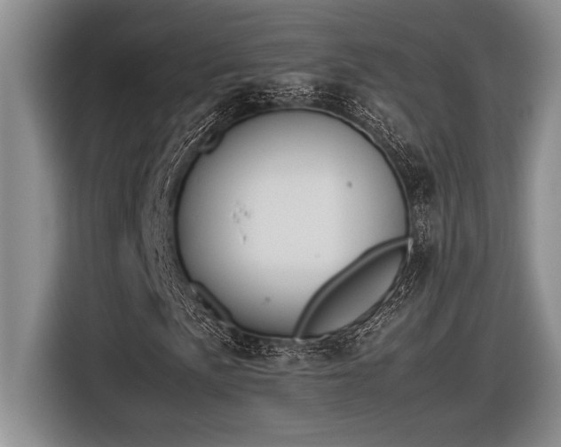 X0000116881057200912221421