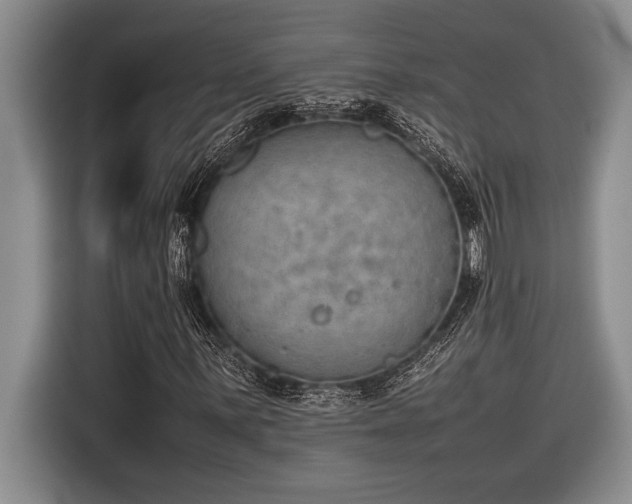 X0000116881059200912221421
