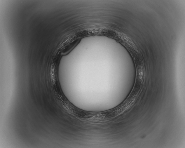 X0000116881060200912221421