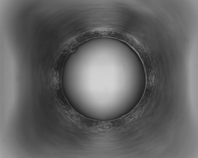 X0000116881062200912221421