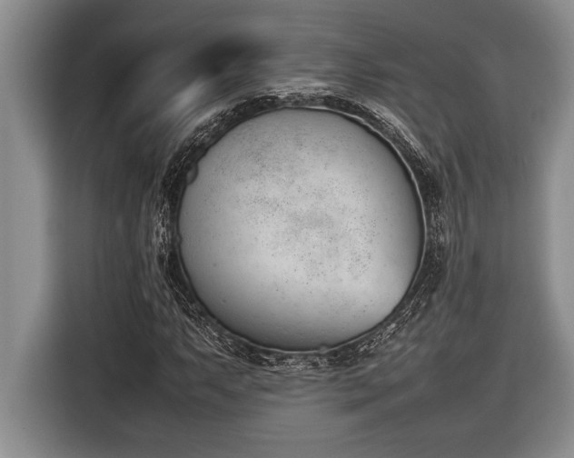 X0000116881063200912221421
