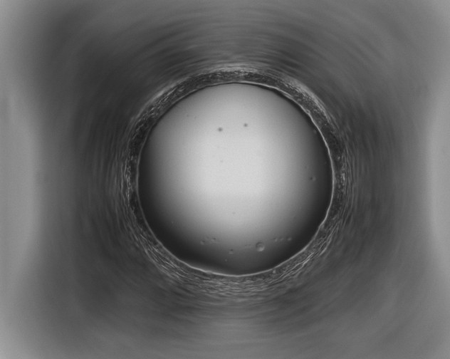 X0000116881064200912221421