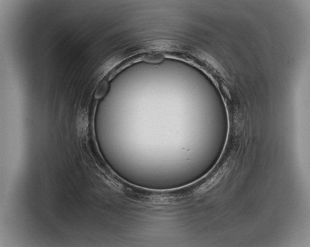 X0000116881065200912221421