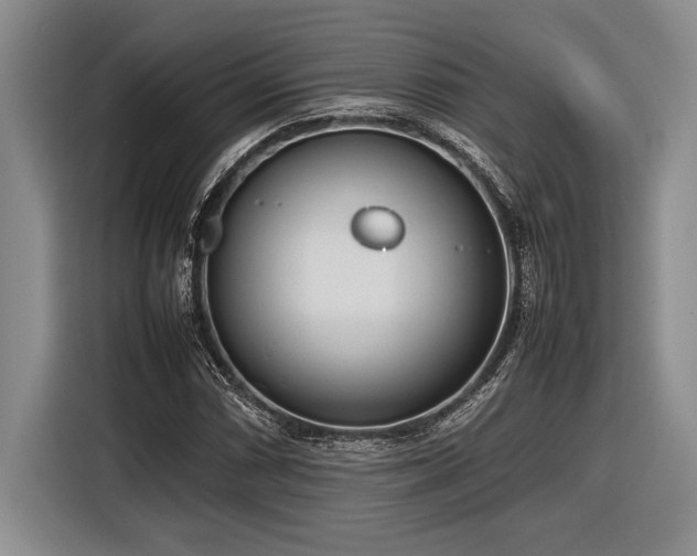X0000116881066200912221421