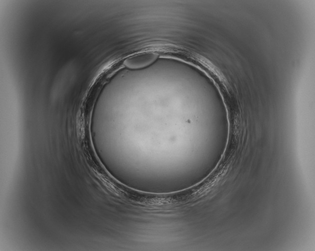 X0000116881067200912221421