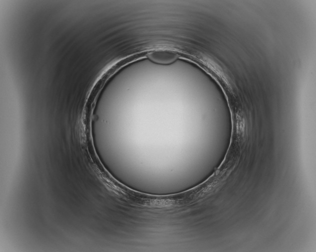 X0000116881068200912221421
