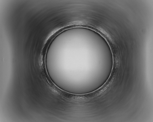 X0000116881070200912221421
