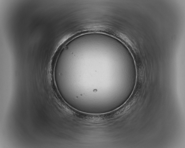 X0000116881071200912221421
