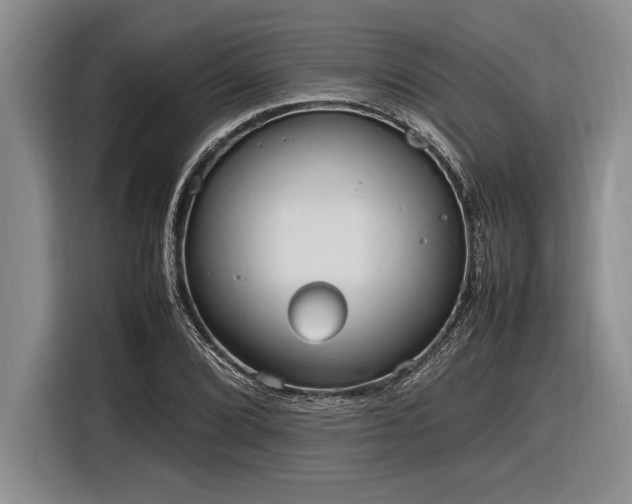 X0000116881072200912221421