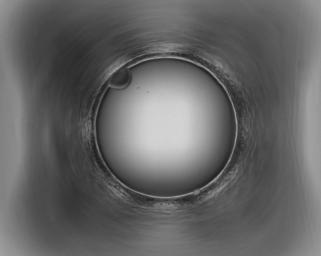 X0000116881073200912221421