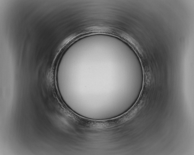 X0000116881074200912221421