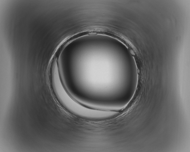 X0000116881075200912221421