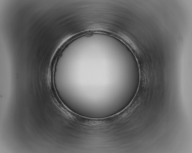 X0000116881076200912221421