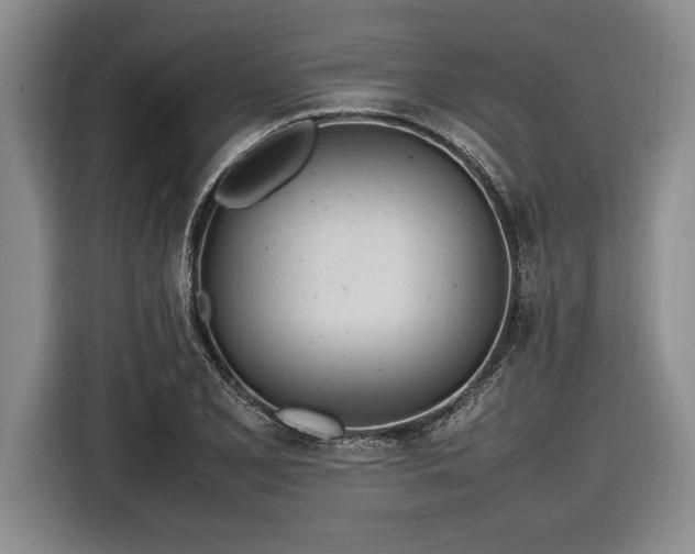 X0000116881077200912221421