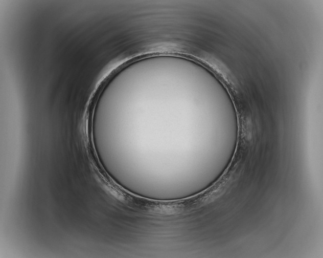 X0000116881078200912221421
