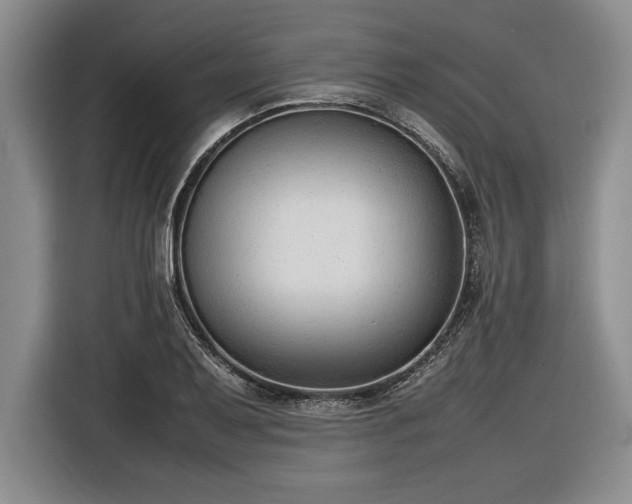 X0000116881079200912221421