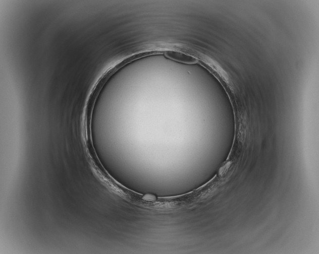 X0000116881080200912221421