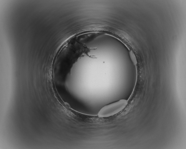 X0000116881081200912221421