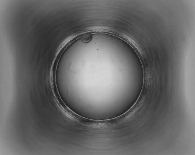 X0000116881082200912221421