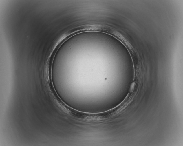 X0000116881083200912221421