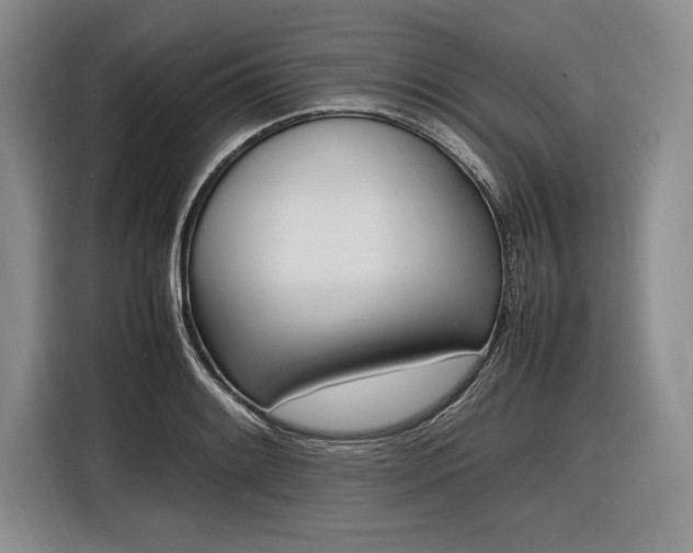X0000116881084200912221421