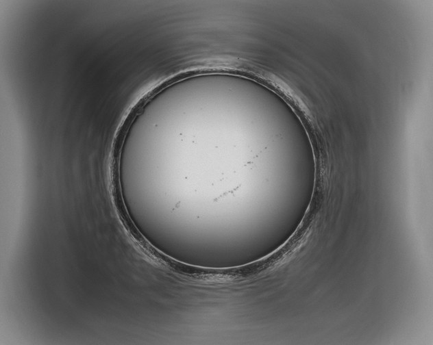 X0000116881085200912221421