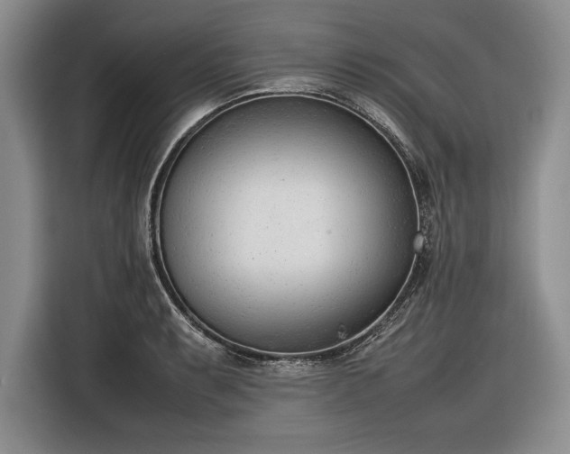 X0000116881087200912221421