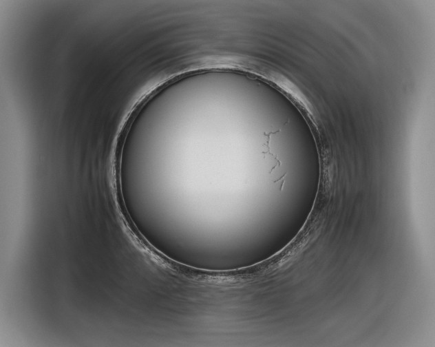X0000116881088200912221421