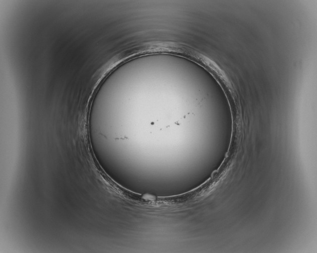 X0000116881089200912221421