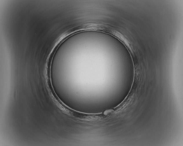 X0000116881091200912221421