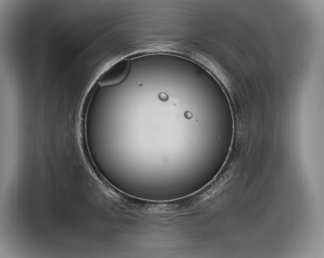X0000116881093200912221421