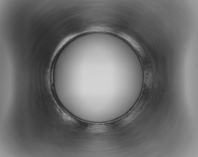 X0000116881094200912221420