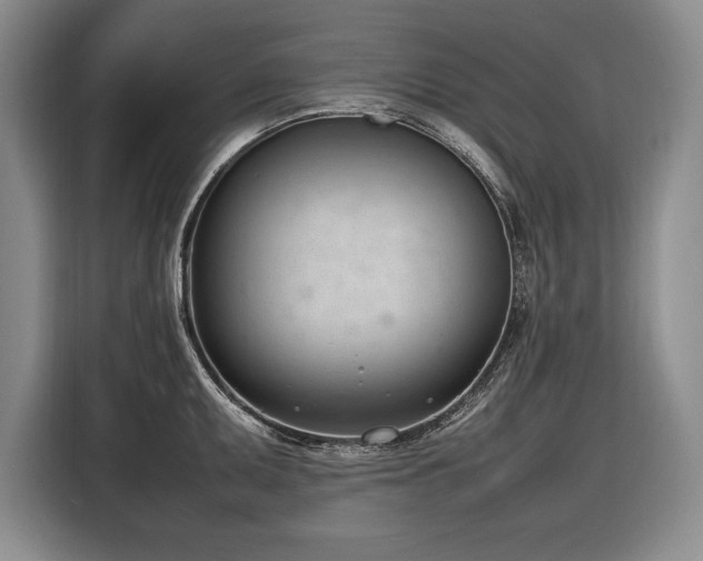 X0000116881095200912221420