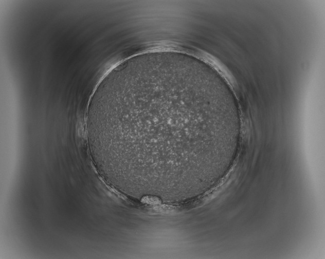 X0000116881097200912221420