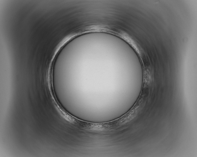 X0000116881098200912221420