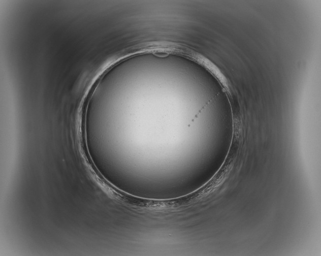 X0000116881099200912221420