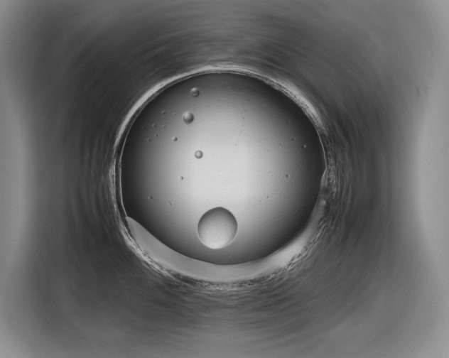 X0000116881100200912221420