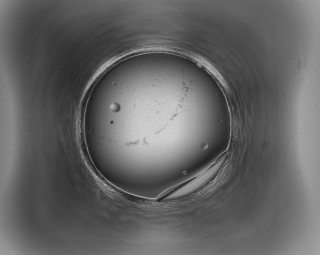 X0000116881101200912221420