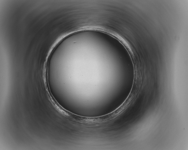 X0000116881102200912221420