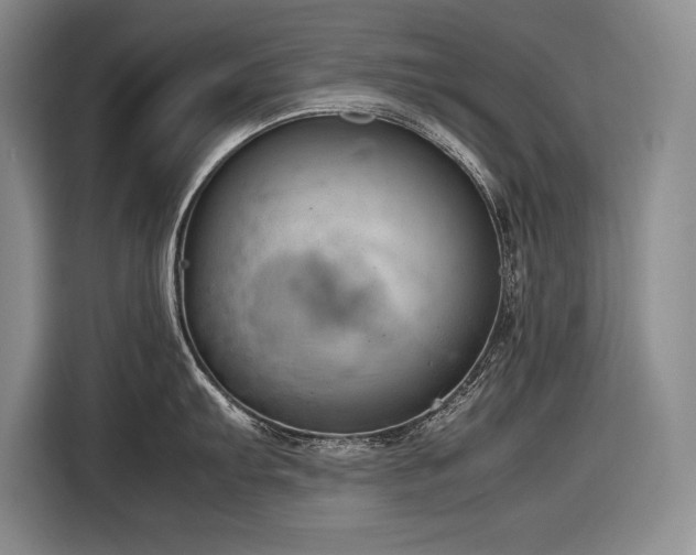 X0000116881103200912221420