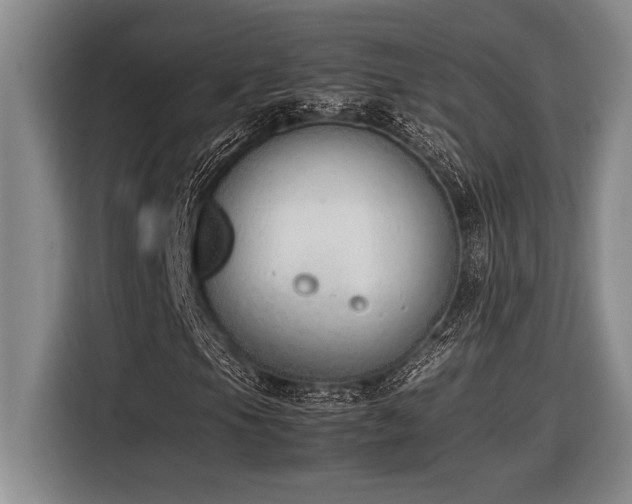 X0000116881105200912221420