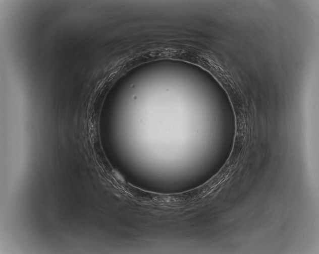 X0000116881109200912221420
