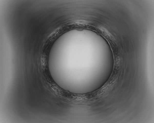 X0000116881110200912221420