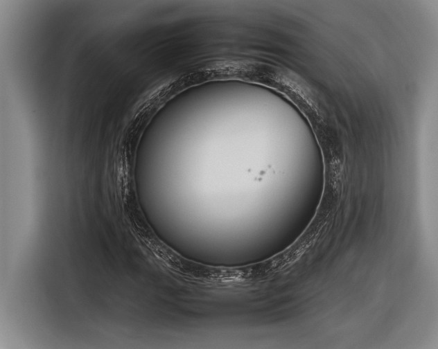 X0000116881111200912221420
