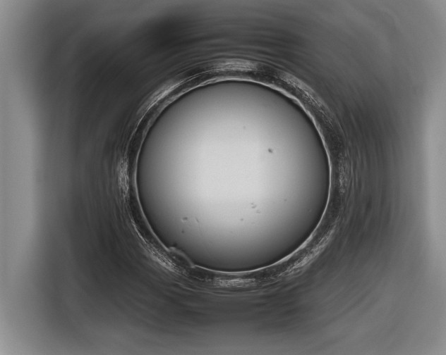 X0000116881113200912221420