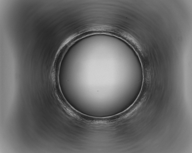 X0000116881114200912221420