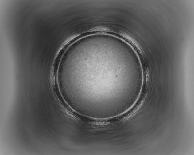 X0000116881117200912221420