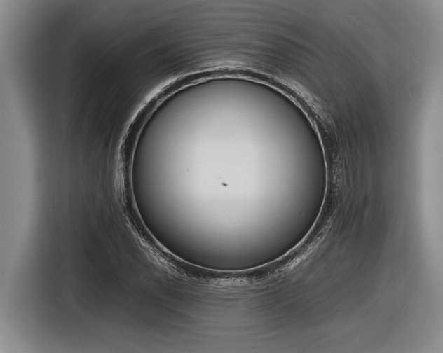 X0000116881118200912221420