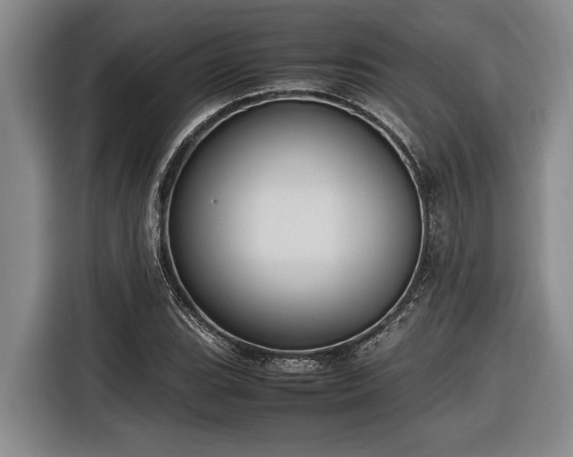X0000116881119200912221420